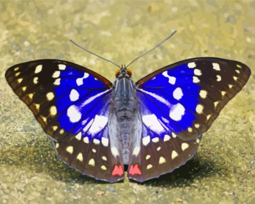 Great Purple Emperor Diamond Painting