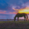 Horse In Assateague Island Sunset Scene Diamond Painting