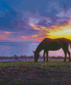 Horse In Assateague Island Sunset Scene Diamond Painting