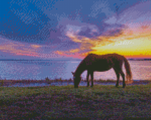 Horse In Assateague Island Sunset Scene Diamond Painting