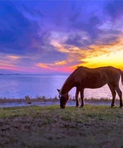 Horse In Assateague Island Sunset Scene Diamond Painting