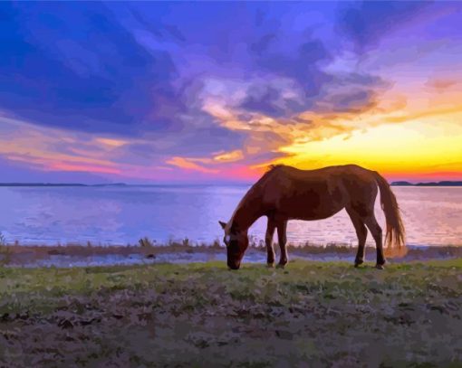 Horse In Assateague Island Sunset Scene Diamond Painting