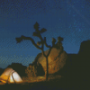 Joshua Tree Camping At Night Diamond Painting