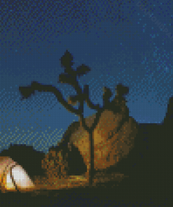 Joshua Tree Camping At Night Diamond Painting