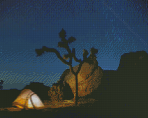 Joshua Tree Camping At Night Diamond Painting