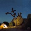 Joshua Tree Camping At Night Diamond Painting