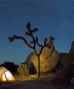 Joshua Tree Camping At Night Diamond Painting