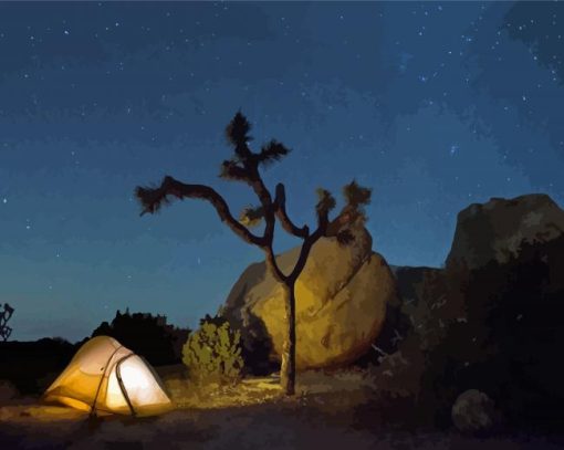 Joshua Tree Camping At Night Diamond Painting