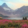 Mount Assiniboine With Pink Flowers Diamond Painting