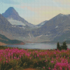 Mount Assiniboine With Pink Flowers Diamond Painting