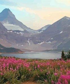 Mount Assiniboine With Pink Flowers Diamond Painting