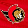 Ottawa Senators Logo Diamond Painting