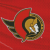 Ottawa Senators Logo Diamond Painting