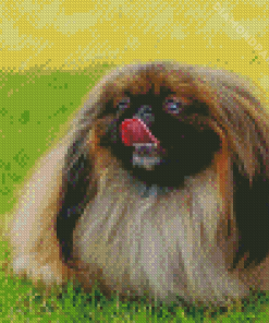 Pekingese Dog Diamond Painting