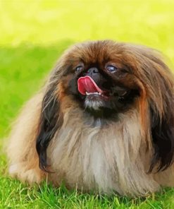 Pekingese Dog Diamond Painting