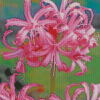 Pink Nerine Flowering Plant Diamond Painting