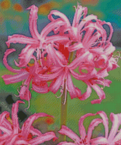 Pink Nerine Flowering Plant Diamond Painting