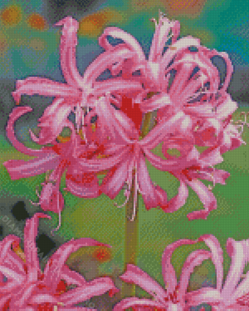 Pink Nerine Flowering Plant Diamond Painting