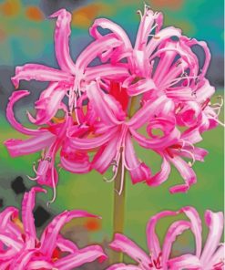 Pink Nerine Flowering Plant Diamond Painting