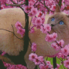 Ragdoll Cat In Cherry Tree Diamond Painting