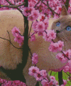 Ragdoll Cat In Cherry Tree Diamond Painting