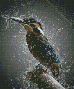 Rain And Bird Diamond Painting