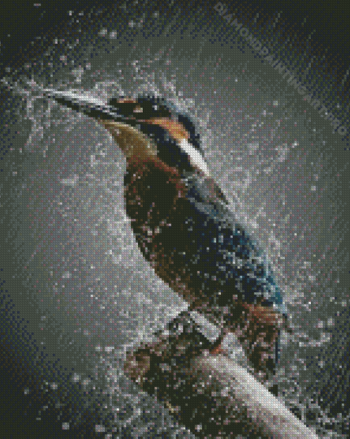 Rain And Bird Diamond Painting