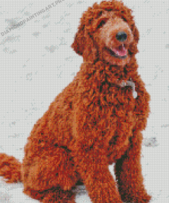 Red Golden Doodle Dog Diamond Painting