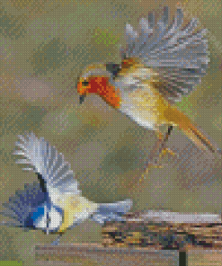 Robin And Blue Tit Diamond Painting