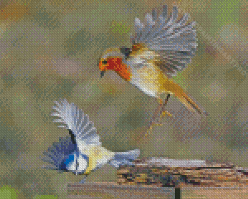 Robin And Blue Tit Diamond Painting