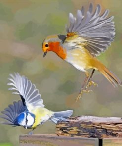 Robin And Blue Tit Diamond Painting