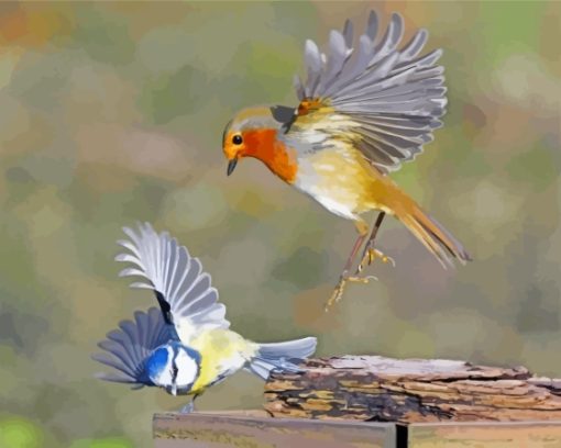 Robin And Blue Tit Diamond Painting