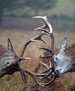 Rutting Red Deer Fighting Diamond Painting