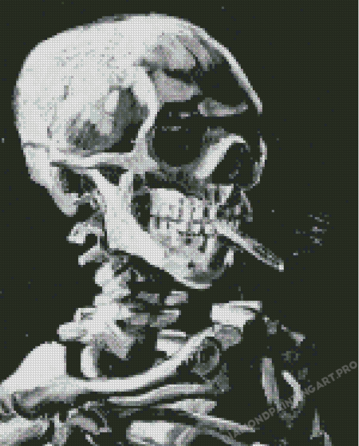 Skeleton Smoking Art Diamond Painting