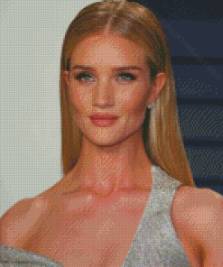 Stylish Rosie Huntington Whiteley Diamond Painting