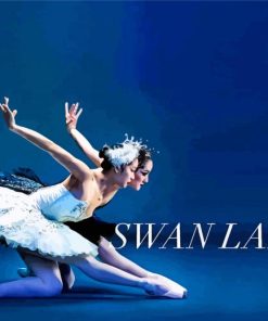 Swan Lake Dancer Diamond Painting