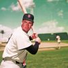 Ted Williams Boston Red Sox Diamond Painting