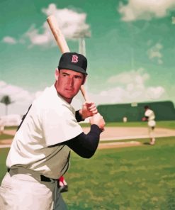 Ted Williams Boston Red Sox Diamond Painting