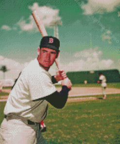 Ted Williams Boston Red Sox Diamond Painting