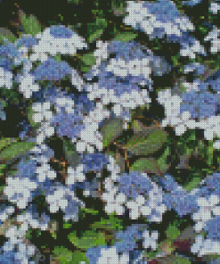 The Bluebird Hydrangeas Diamond Painting