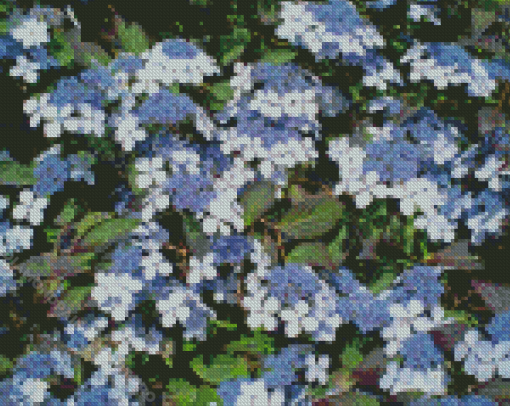 The Bluebird Hydrangeas Diamond Painting