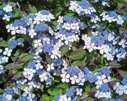 The Bluebird Hydrangeas Diamond Painting