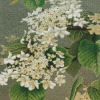 The White Hydrangeas Diamond Painting