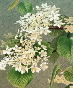 The White Hydrangeas Diamond Painting