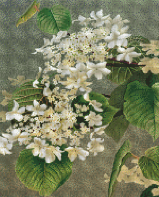 The White Hydrangeas Diamond Painting