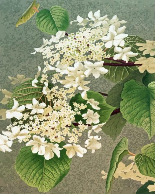 The White Hydrangeas Diamond Painting