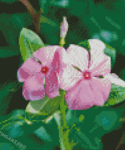 Two Periwinkle Flowers Diamond Painting