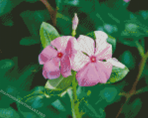 Two Periwinkle Flowers Diamond Painting