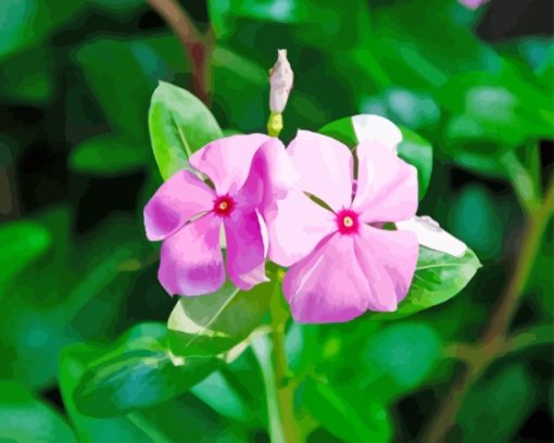 Two Periwinkle Flowers Diamond Painting