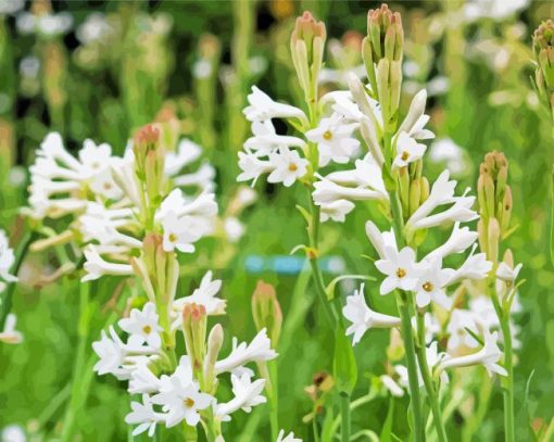 White Tuberose Flowers Diamond Painting